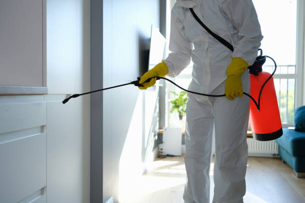 Professional Mold Removal in Logansport, IN